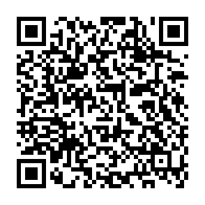 Scan to Donate Polkadot to 1EDANcEPznBawAMfeWzB48zLtKv6r5RbzSkweRSYxq1LG8W